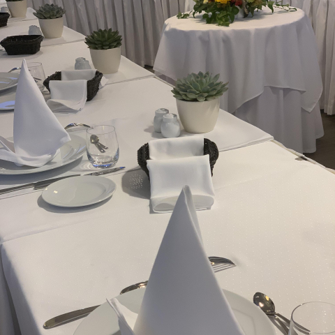 NaturMed Hotel Carbona ****